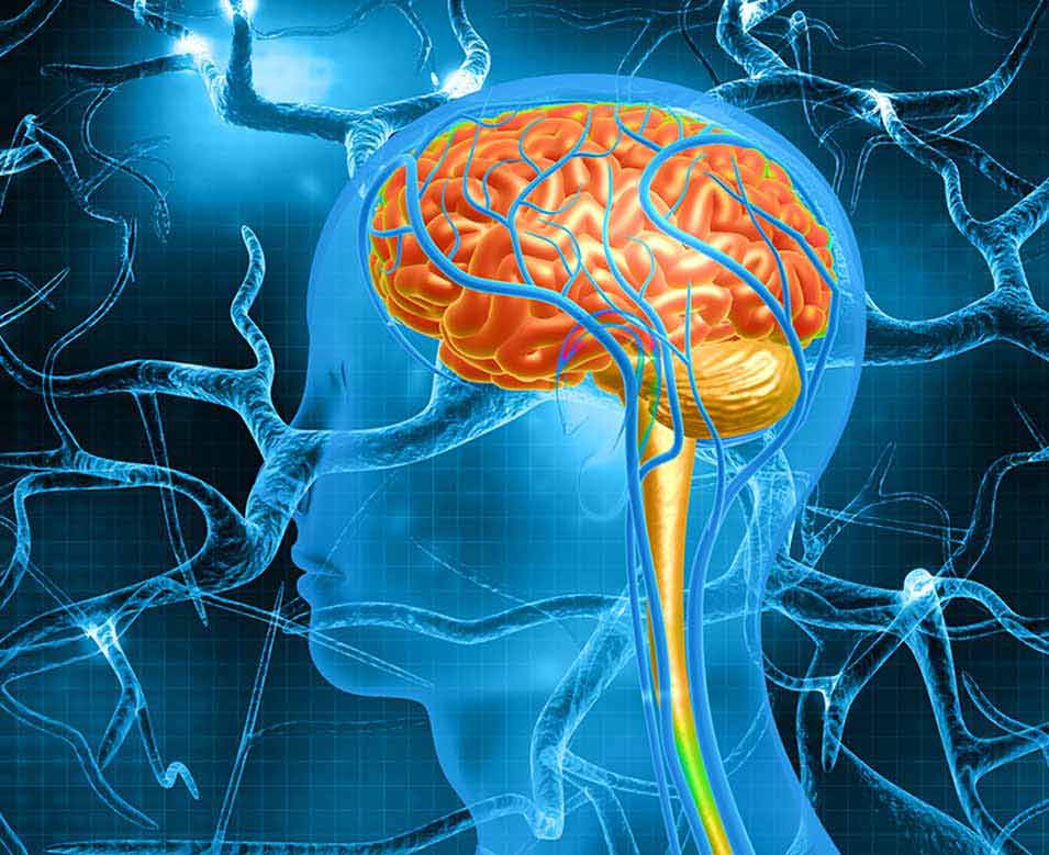 Damaged nerves before Advanced Neuropathy Relief