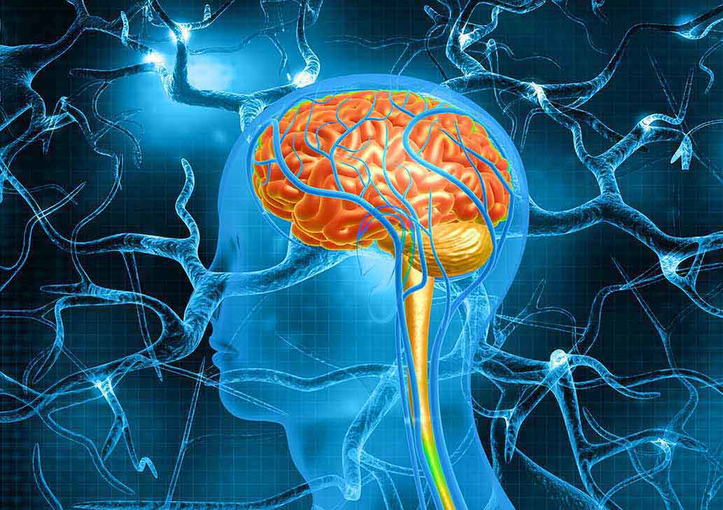 Anatomy of damaged nerves before Advanced Neuropathy Relief